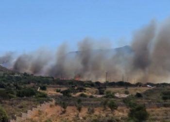 Yunanistan’da 3 gün önce başlayan orman yangını hâlâ söndürülemedi