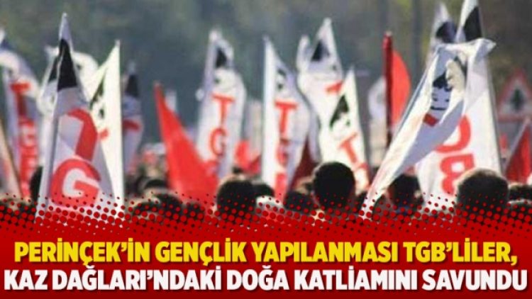 Perinçek’in gençlik yapılanması TGB’liler, Kaz Dağları’ndaki doğa katliamını savundu