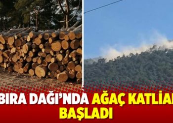 Ilbıra Dağı ekosistemi madene feda edilemez!