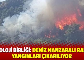Deniz manzaralı rant yangınları çıkarılıyor
