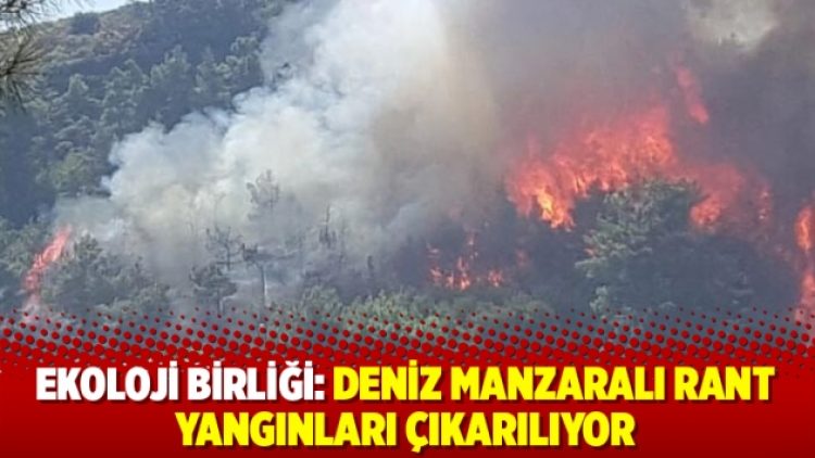 Deniz manzaralı rant yangınları çıkarılıyor