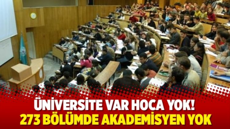 273 bölümde akademisyen yok