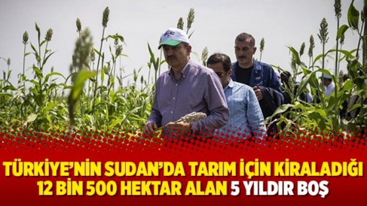 Türkiye’nin Sudan’da tarım için kiraladığı 12 bin 500 hektar alan 5 yıldır boş