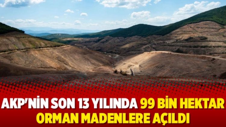 AKP’nin son 13 yılında 99 bin hektar orman madenlere açıldı