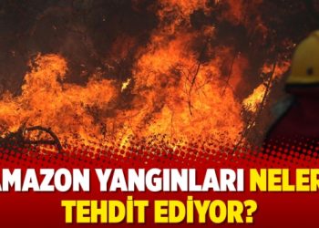 Amazon yangınları neleri tehdit ediyor?