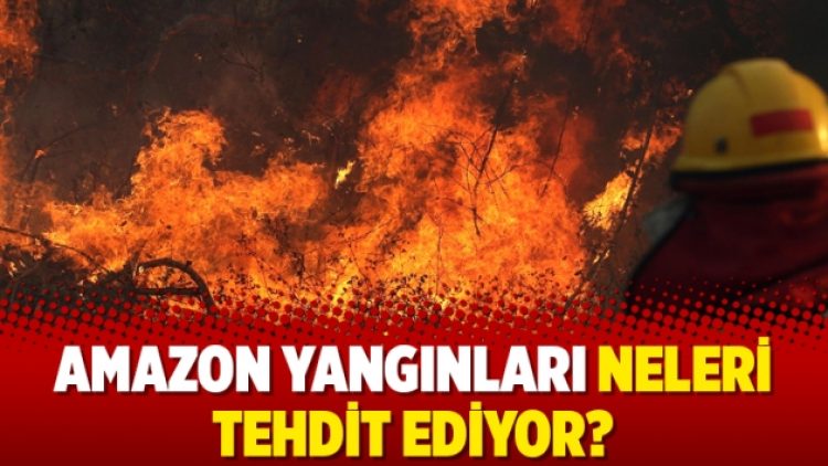 Amazon yangınları neleri tehdit ediyor?