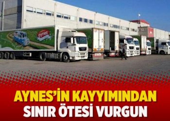 Aynes’in kayyımından sınır ötesi vurgun