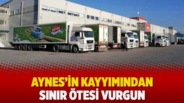 Aynes’in kayyımından sınır ötesi vurgun