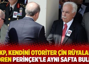 AKP, kendini otoriter Çin rüyaları gören Perinçek’le aynı safta buldu
