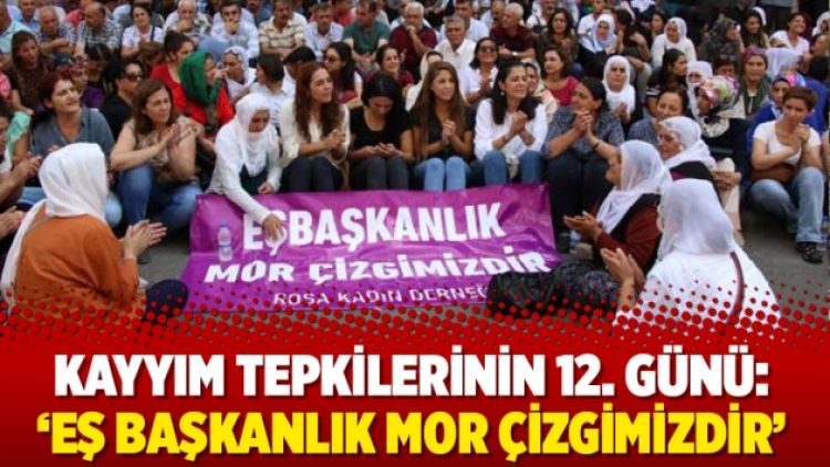 Kayyım tepkilerinin 12. günü: ‘Eş Başkanlık mor çizgimizdir’