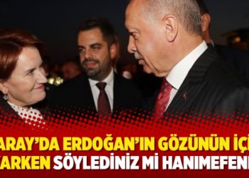 “Saray’da Erdoğan’ın gözünün içine bakarken söylediniz mi hanımefendi?”