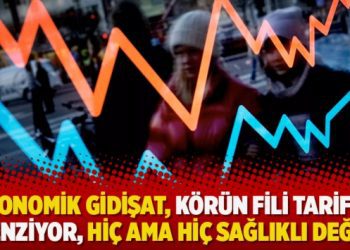 ‘Ekonomik gidişat, körün fili tarifine benziyor, hiç ama hiç sağlıklı değil’