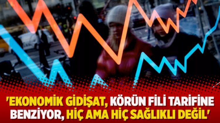 ‘Ekonomik gidişat, körün fili tarifine benziyor, hiç ama hiç sağlıklı değil’