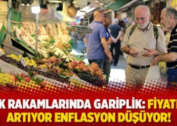TÜİK rakamlarında gariplik: Fiyatlar artıyor enflasyon düşüyor!