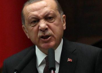 Eski Alman vekile Erdoğan’a hakaretten dava açıldı
