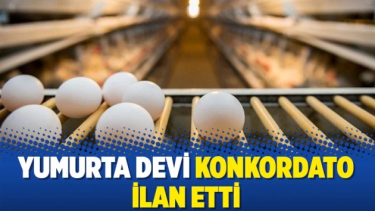 Yumurta devi konkordato ilan etti