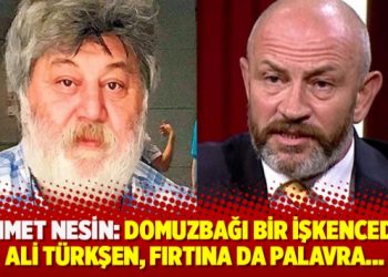 Ahmet Nesin: Domuzbağı bir işkencedir Ali Türkşen, fırtına da palavra…