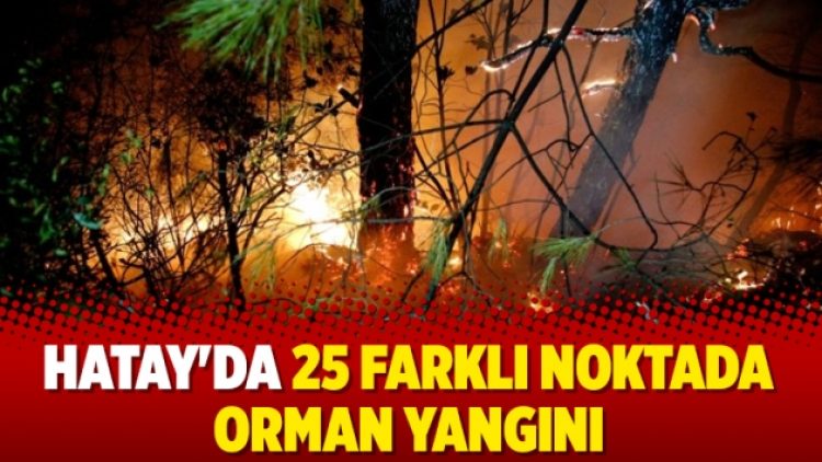Hatay’da 25 farklı noktada orman yangını