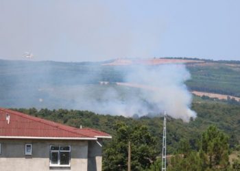 Pendik’te orman yangını