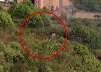 Pendik’teki orman yangınıyla ilgili gözaltına alınan Y. A. terör örgütü üyeliğinden tutuklandı