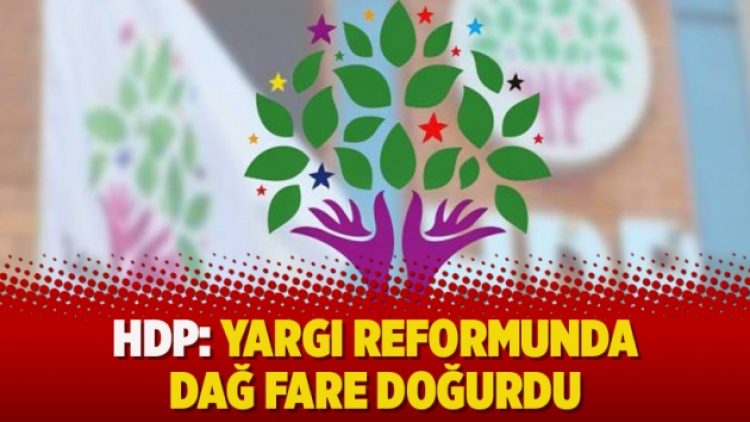 HDP: Yargı reformunda dağ fare doğurdu