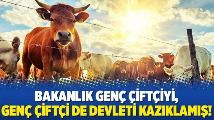 Bakanlık genç çiftçiyi, genç çiftçi de devleti kazıklamış!