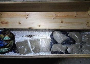 Cami lojmanındaki tabuttan bonzai çıktı