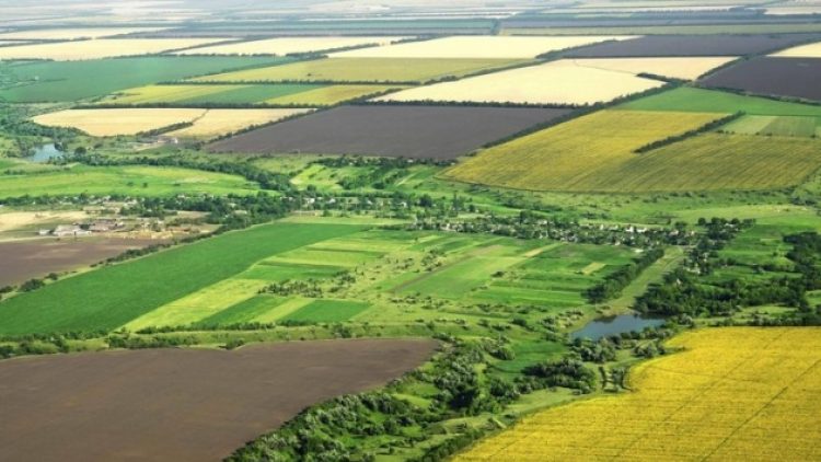 Hazine’ye ait tarım arazileri yarı fiyatına satışa çıkarıldı