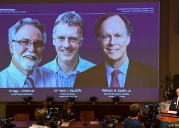 ​Nobel Tıp Ödülü’nün sahipleri belli oldu