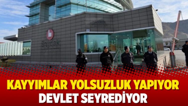 Kayyımlar yolsuzluk yapıyor devlet seyrediyor