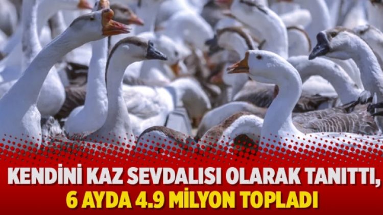 Çiftlik Bank’ın ardından Kazbank: Kendini kaz sevdalısı olarak tanıttı, 6 ayda 4.9 milyon topladı