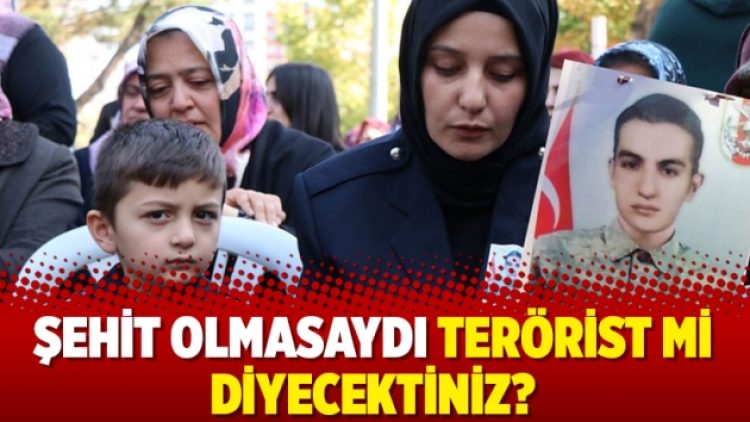 Şehit olmasaydı terörist mi diyecektiniz?