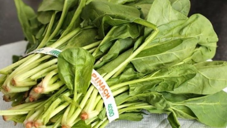 Ispanak paniği yayılıyor: İstanbul’da 44 Tekirdağ’da 22 kişi hastanelik oldu