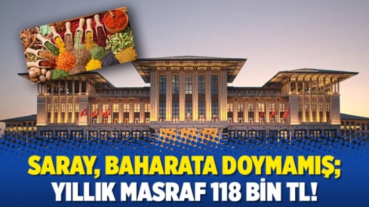 Saray, baharata doymamış; yıllık masraf 118 bin TL!