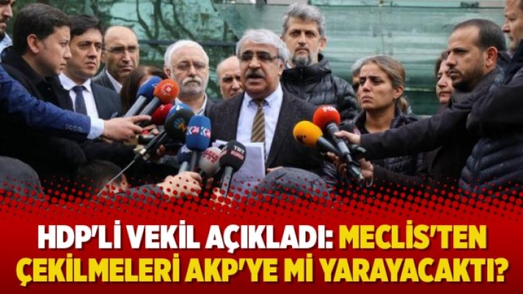 HDP’li vekil açıkladı: Meclis’ten çekilmeleri AKP’ye mi yarayacaktı?
