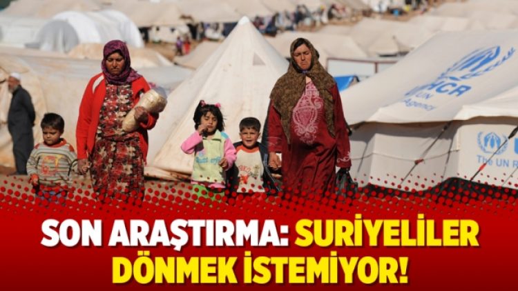Son araştırma: Suriyeliler dönmek istemiyor!