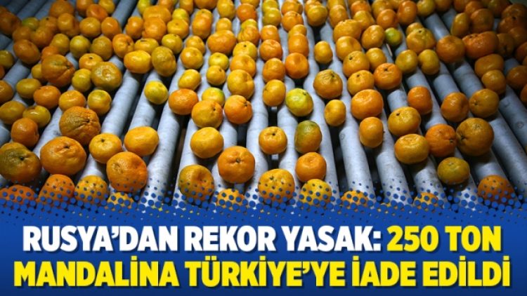 Rusya’dan rekor yasak: 250 ton mandalina Türkiye’ye iade edildi