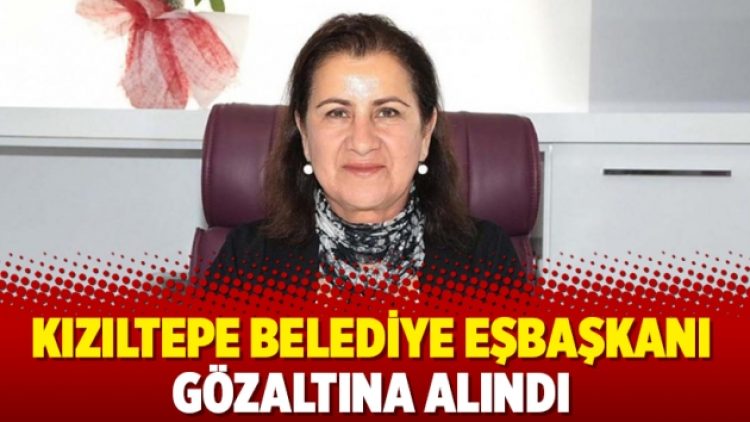 Kızıltepe Belediye Eşbaşkanı gözaltına alındı