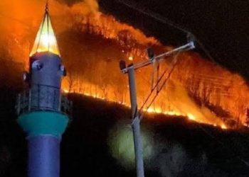 Karadeniz’deki şüpheli yangın ormanlardan evlere kadar ulaştı