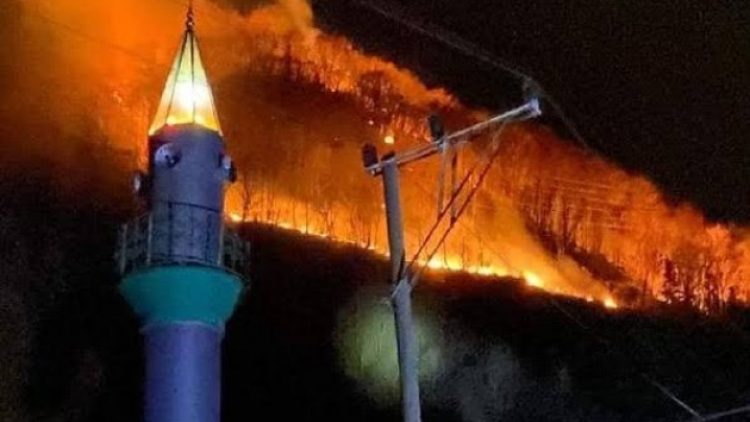 Karadeniz’deki şüpheli yangın ormanlardan evlere kadar ulaştı