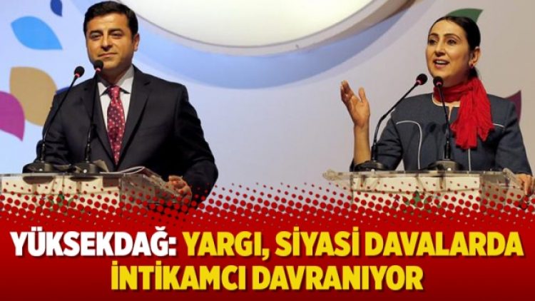 Yüksekdağ: Yargı, siyasi davalarda intikamcı davranıyor