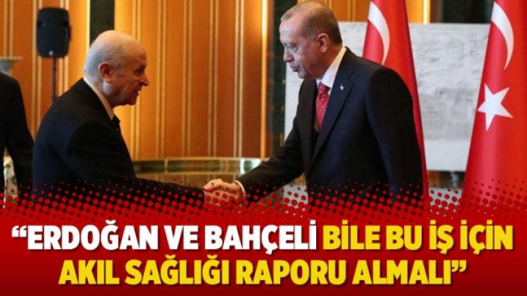“Erdoğan ve Bahçeli bile bu iş için akıl sağlığı raporu almalı”