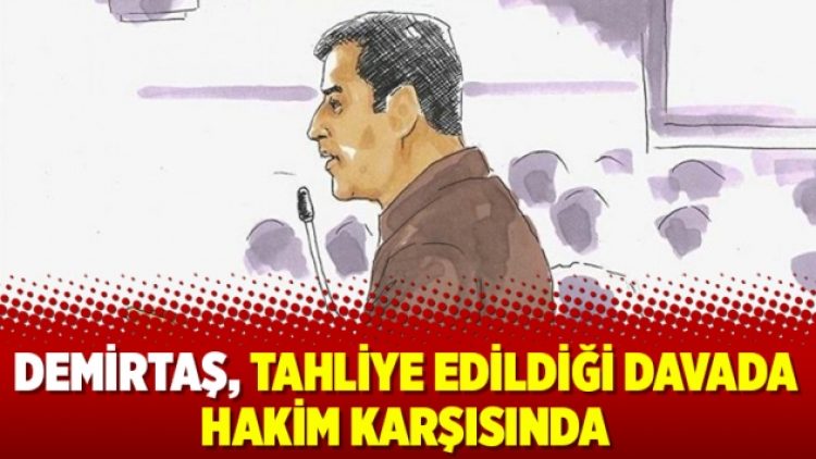 Demirtaş, tahliye edildiği davada hakim karşısında