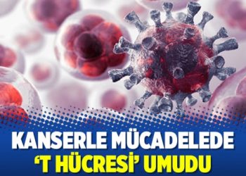 Kanserle mücadelede ‘T hücresi’ umudu