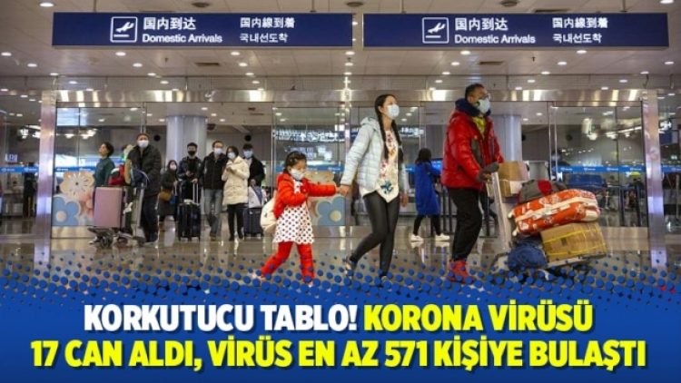 Koronavirüs 17 can aldı, virüs en az 571 kişiye bulaştı