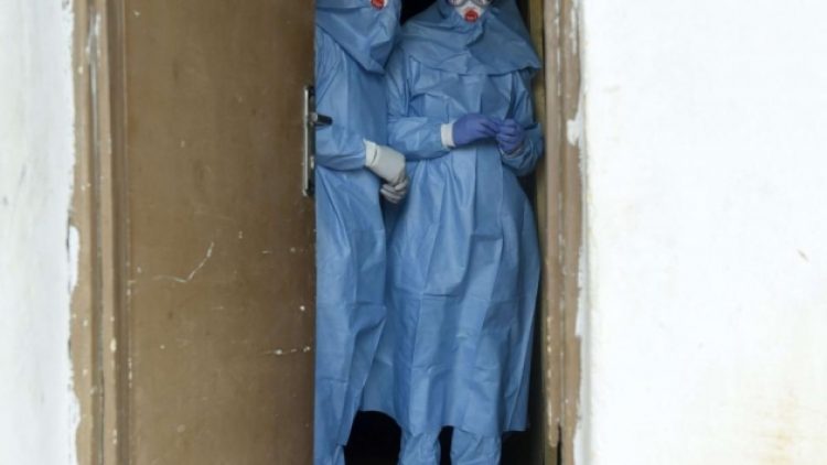 Şimdi de Lassa ateşi salgını: Ölü sayısı artıyor