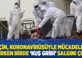 Çin, Koronavirüsüyle mücadele ederken birde ‘Kuş Gribi’ salgını çıktı!