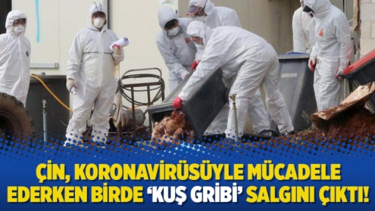 Çin, Koronavirüsüyle mücadele ederken birde ‘Kuş Gribi’ salgını çıktı!