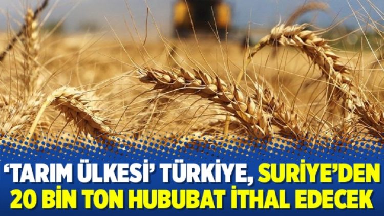 ‘Tarım ülkesi’ Türkiye, Suriye’den 20 bin ton hububat ithal edecek