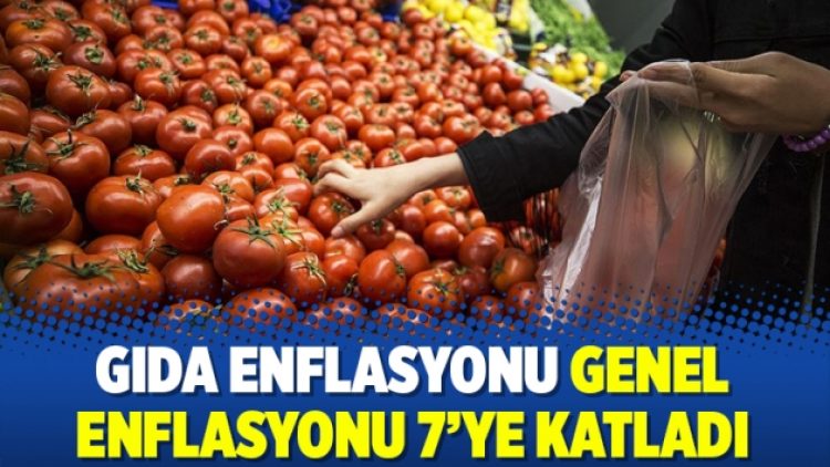Gıda enflasyonu genel enflasyonu 7’ye katladı